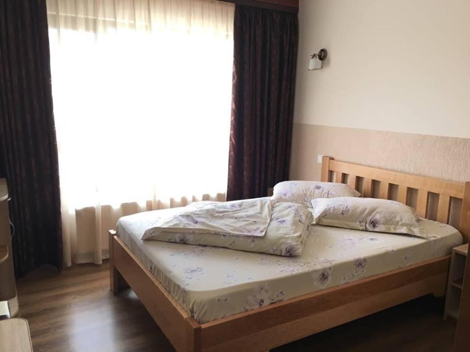 Motel Mesterul Manole Curtea de Argeş エクステリア 写真